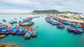 Tasks assigned to put an end to IUU fishing by year’s end