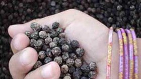 Vietnam sees surges in pepper exports to France in 7 months