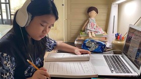 Educators wonder how to bridge learning gap after prolonged e-classes