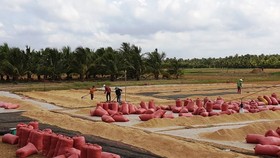 Suitable policies would boost digital transformation in agriculture: expert