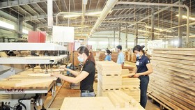Wood exports unable to meet yearly target