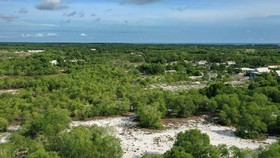 VN’s commitment at COP26 opens up chances for low-emission growth cooperation