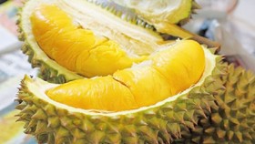 Durian, pomelo, passion fruit in row will be exported to China
