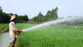 Saltwater intrusion in Mekong Delta to increase again in Mid-April