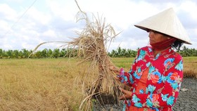 Southern region continues to brace for scorching hot days