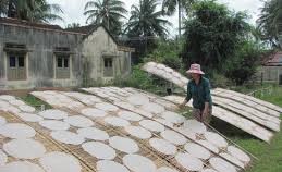 Binh Dinh coconut rice paper to be exported to Asian countries