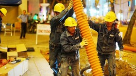 Dong Nai needs US$14.3 mln for underground installation of power cable system