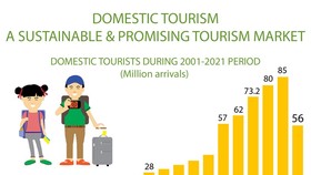 Domestic tourism a sustainable and promising market