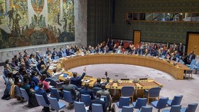 An overview of a UNSC session (Photo: VNA)