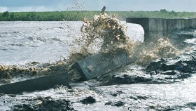 Mekong Delta needs over US$346 mln to tackle severe landslides