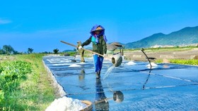 Northern, Central regions to face peak hot temperature of 41 degrees Celsius