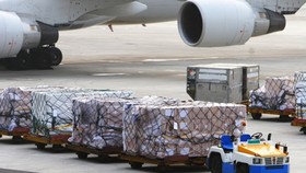 Air freight output rises 15 percent year on year