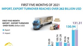 Import-export turnover surpasses US$262 billion in first five months