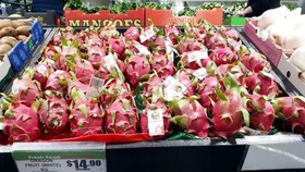Vietnamese dragon fruit rated five stars in Australia