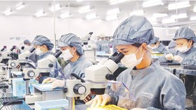 Around 150,000 employees come back to HCMC