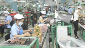 Tien Giang Province reports PM on proposal of 19 enterprises