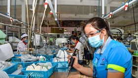 Adaptability essential to survive pandemic