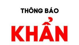 Tìm người đến vựa ve chai số 1, đường Đề Thám, quận 1