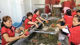 Nông sản Việt Nam xuất khẩu tăng mạnh nhờ tiếp cận thị trường 2,2 tỷ người