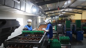 Agribank “sát cánh chung vai” cùng doanh nghiệp, doanh nhân khôi phục, phát triển nền kinh tế đất nước