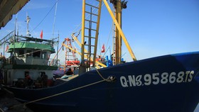 Quảng Ngãi: Cảng cá mở cửa giải quyết toàn bộ hải sản cho tàu đi đánh bắt trở về