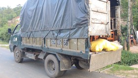 Quảng Ngãi: Phát hiện 6 xác cá thể linh trưởng trong xe tải