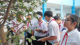 Hiệu quả từ đổi mới đánh giá học sinh
