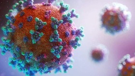 Phát hiện chủng virus SARS-CoV-2 mới
