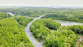 Người trẻ chung tay trồng rừng, giữ nước
