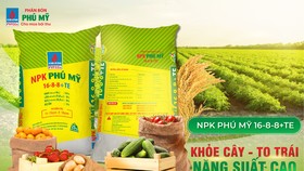 Nỗ lực tăng nguồn cung phân bón cho bà con nông dân