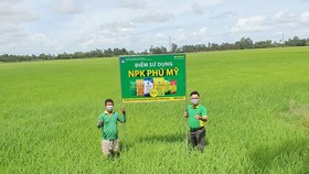 PVFCCo hợp tác triển khai chương trình sử dụng phân bón an toàn, cân đối, hiệu quả