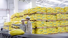 PVFCCo công bố báo cáo tài chính với con số tăng trưởng ấn tượng