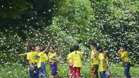 “Tuần lễ Cúc Phương đại ngàn” và “Thêm xanh cho rừng già“