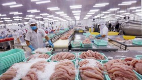 Để vực dậy thị trường tiêu thụ nông sản của Việt Nam và Nga
