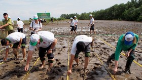 3.700 ngôi nhà an toàn cho vùng sạt lở, lũ lụt