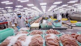 Trung Quốc tạm ngừng nhập hàng đông lạnh của Việt Nam