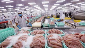 Hoa Kỳ sẽ không ban hành bất cứ biện pháp hạn chế thương mại nào với Việt Nam