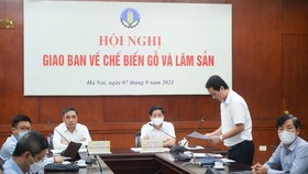 Cuộc họp tháo gỡ khó khăn cho đồ gỗ xuất khẩu sáng 7-9
