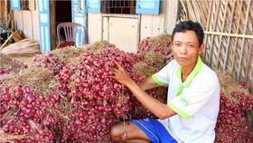 Nhiều nơi đang ùn ứ lượng lớn rau gia vị sau vụ “mì Hảo Hảo”