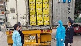 Việt Nam tiết kiệm 3.282 triệu USD nhờ giảm ''giấy tờ hải quan''