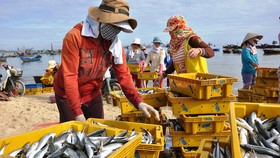 Đề nghị EC không tính các tàu khai thác ở vùng chồng lấn là tàu vi phạm IUU