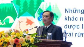 Người dân đang làm giàu nhờ phát triển các sản phẩm dưới tán rừng ngoài gỗ