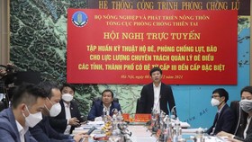 Bộ NN-PTNT tập huấn “hộ đê” phòng chống bão lụt online