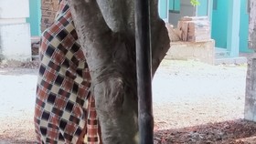 Hiện trường vụ việc.