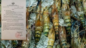 Laos has temporarily banned the import of seafood from Thailand after a new outbreak of COVID-19 hit the kingdom (Photo: laotiantimes.com)