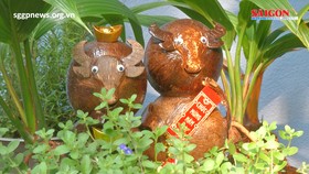 Coconut bonsai – Water buffalo edition