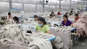 Vietnam not only successfully contained the pandemic but also posted a GDP growth of 2.91 percent, with the International Monetary Fund (IMF) saying it was among countries with the best economic achievements. (Photo: VNA)