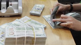 Vietnam applauds positive adjustment in US Treasury Department’s report