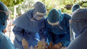Vietnam logs 35 COVID-19 infections on early May 13