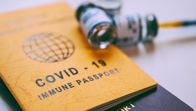 Vietnam works to launch vaccine passport soon: Vice Spokesperson